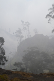 mountain mist, lombok, 08/14